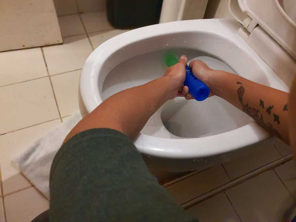 Cleaning the Toilet