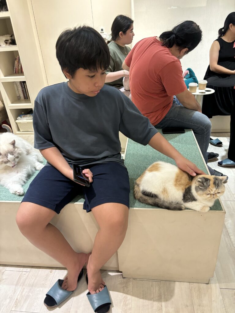 Cat Cafe at Ximending Market